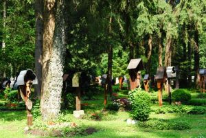 Holzkreuze und Gräber in naturnaher Umgebung des Waldfriedhofs