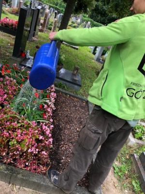 Friedhofsgärtner wissen genau wann es wieder nötig ist die blühenden Sommerblumen auf den Grabstätten zu gießen, damit sie dauerhaft schön bleiben.
