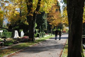 Goldenes Herbstlaub, Spaziergang, Friedhof, ruhige Atmosphäre