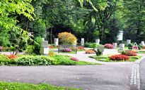 Sommerbepflanzung der Gemeinschaftsgrabanlage am Friedhof in  Augsburg